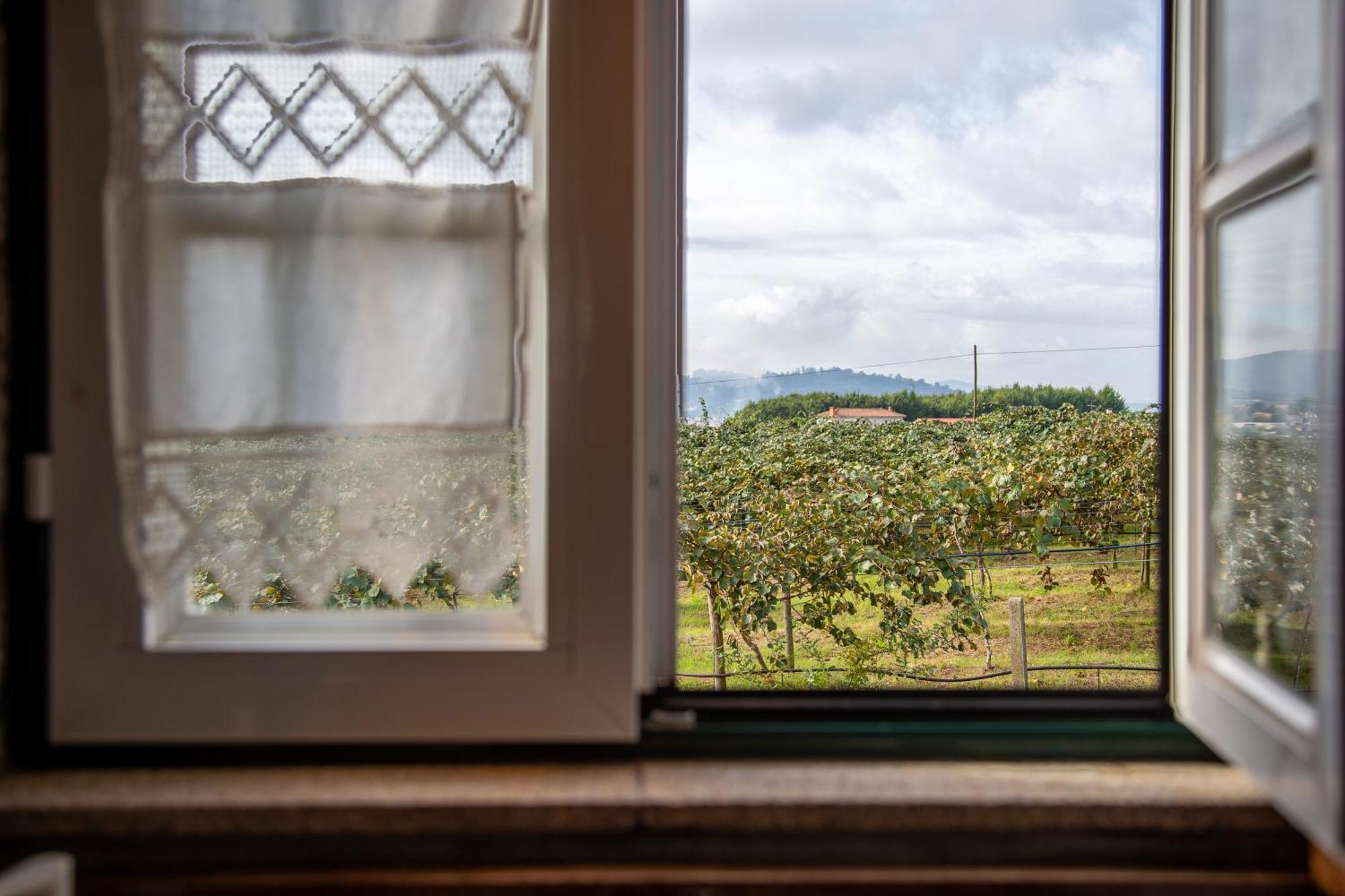 Quinta Do Carvalhal Alojamento, Penafiel Irivo Exterior foto